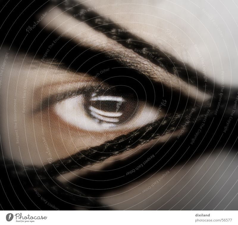 eye-catcher Reflection Eyes Face Net Human being Close-up Looking