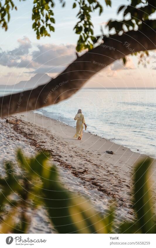 Beach walk Mauritius Horizon pretty Beauty & Beauty beauty Wellness relax Sunbeam Summer Pamper Turquoise turquoise blue Water sunshine warm Rest Ocean Tropical