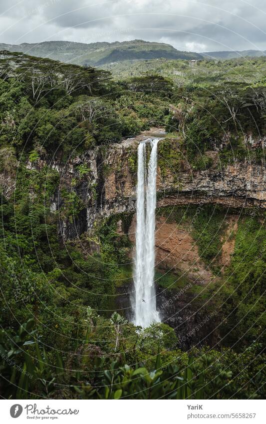 Chamarel waterfall Mauritius Waterfall Tropical tropical forest South Pacific rainforest jungles Adventure Expedition vacation travel Sightseeing Tourism