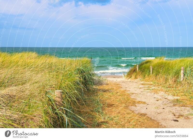 Dune crossing on the beach at Zingst. Dune grass, white sand and the blue Baltic Sea travel vacation water sea baltic sea perspective sunny clouds transition