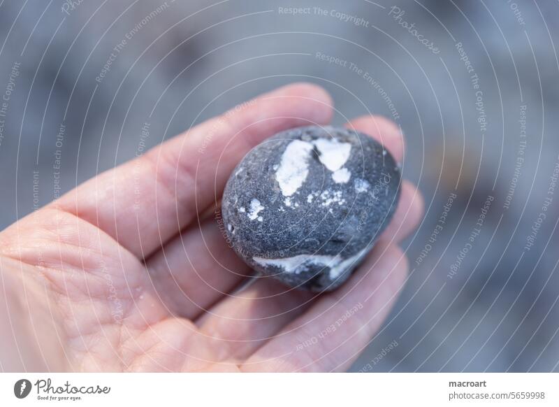 Hand holding a stone with a face - Pareidolia Face Stiens stop shape Figures Fantasy fantasy eyes Mouth cheerful facial expression imagination Imagination