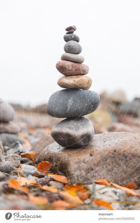 Autumn at the Baltic Sea with fallen, colorful leaves on the beach and a pile of stones Beach groynes Orange Red Autumnal colored Colouring Sandy beach Leaf