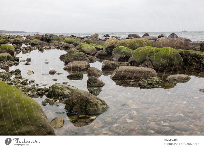 Stone coast - stones overgrown with moss and a gray sky Baltic Sea stone coast cloudy Weather Dreary Evening Clouds overcast Gloomy stiene Rock Waves foggy hazy