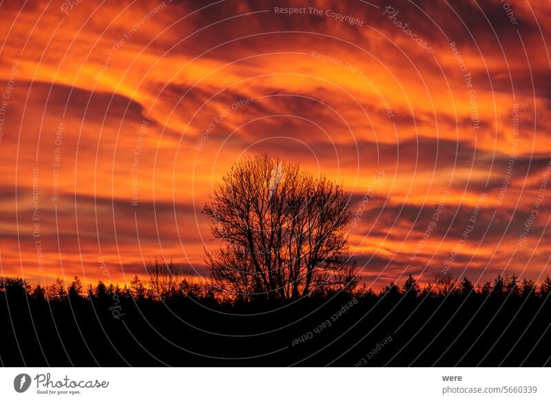 Colourful sunrise with glowing red clouds on a winter's day over the meadows and forests of Siebenbrunn, the smallest district of the Fugger city of Augsburg