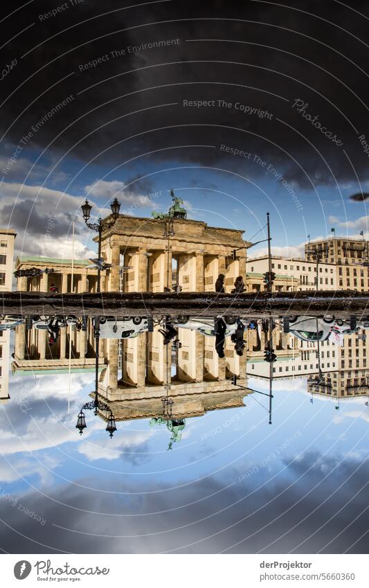 Brandenburger in the reflection of a puddle metropolis Freedom City Berlin center Panorama (View) Sunbeam urban Beautiful weather City life Sunlight Light