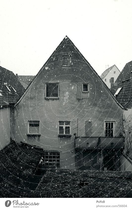 backyard House (Residential Structure) Black White Dark Derelict Ruin Backyard Neighbor Snow Weather Garden Farm neighbourhood