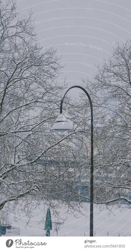 Rarely seen - snow in Cologne Winter Snow view outlook White Gray Cold chill Lantern streetlamp trees winter green accents Frost Frozen Freeze Winter mood