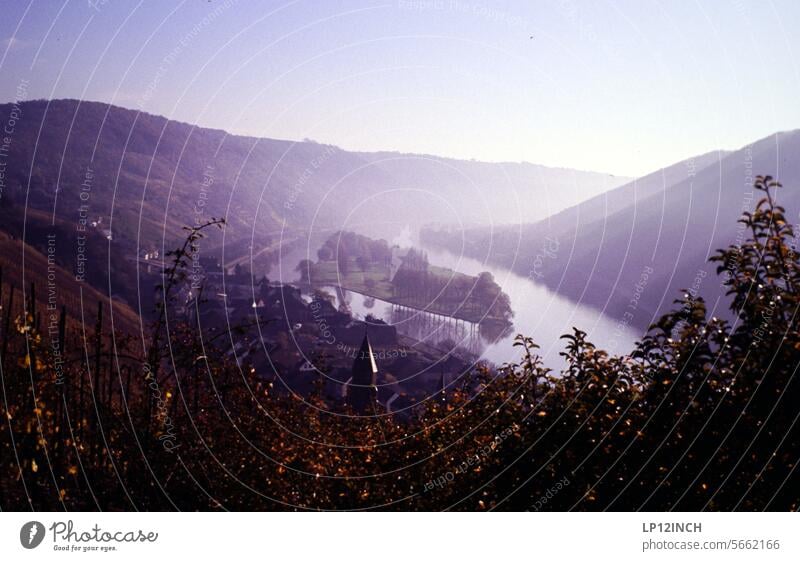 Past times IX Some wine-growing region River Rhine Moselle mountains Analog Scan Vine viticulture then wine-growing area Nature Water vacation Vineyard