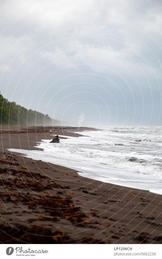 CR XXXVII Black beach in Tortuguero Costa Rica Beach Sand black sand Water coast Waves Vacation & Travel Tourism tortuguero Far-off places Contrast Freedom