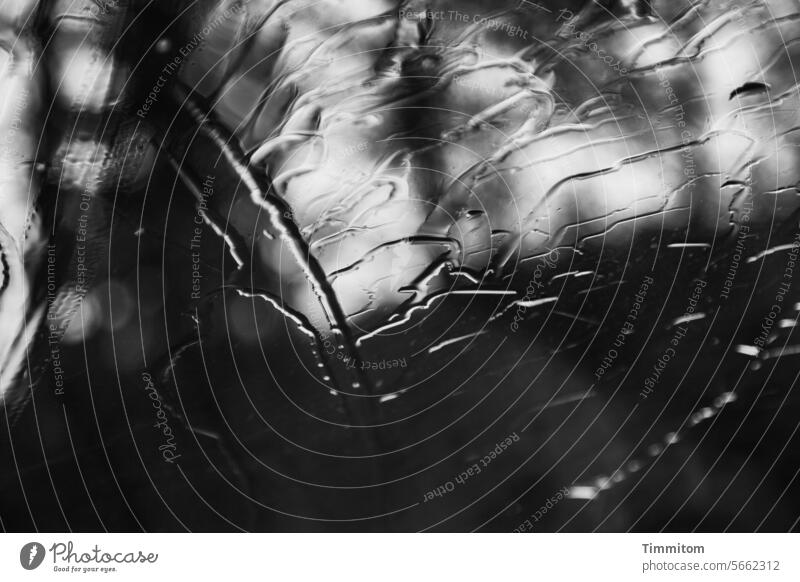 Sitting in the car in the rain and having time (2) Windscreen Glass Rain Rainwater Tracks Weather Bad weather Observe look shape lines Light light and dark Wet