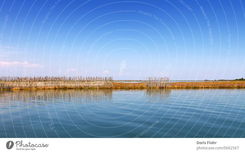 Fishing nets in a lagoon near Venice Lagoon Island fishing nets Summer Sun Ocean Italy wide Ecosystem Nature Sky Europe Tourism Channel Water Old Blue Venetian