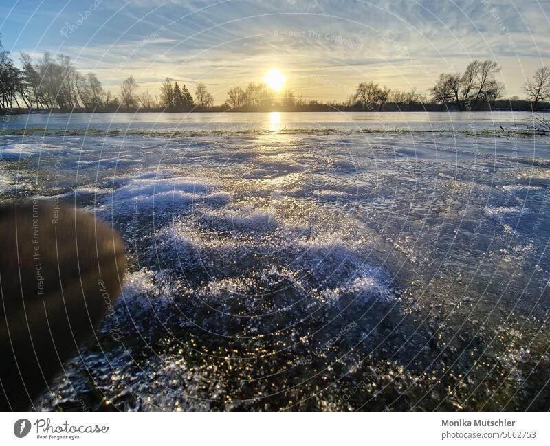 Icy beauty Snow Winter Cold Ice Frost Hoar frost Nature Frozen Exterior shot Weather Winter's day Winter walk Snowscape Winter forest Landscape Deserted chill