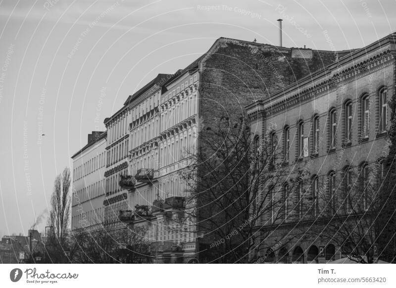 Street in Prenzlauer Berg Winter Oderberger Street b/w Facade Berlin Black & white photo Downtown Capital city Town Exterior shot Old town Day bnw Deserted