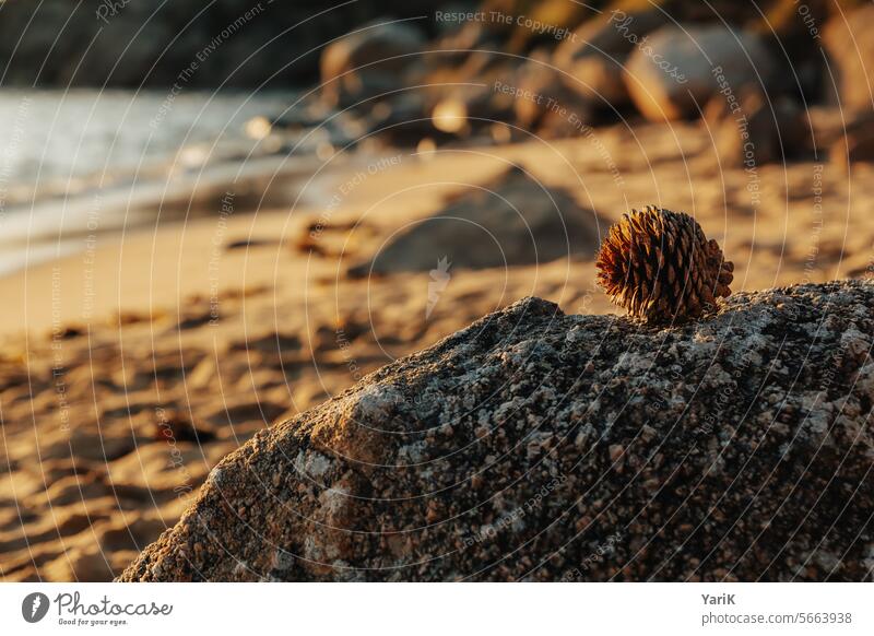 beach find Loneliness Silence Lonely Evening evening mood silent Sunset Blue Comforting fishing sunshine To go for a walk Maritime Place of longing Rock France