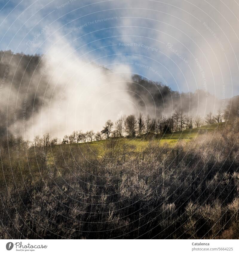 Hilly landscape with low clouds Clouds vacation Tourism Vacation & Travel Mountain Landscape Peak Sky Environment Day Nature daylight meadows Forest Winter