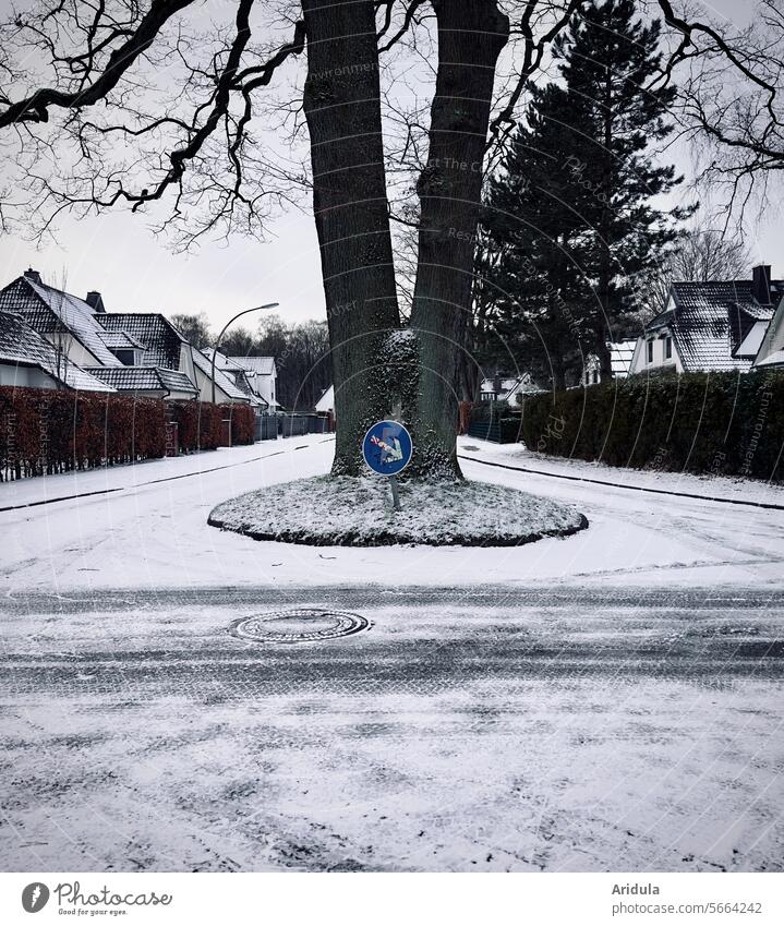 Please drive past the oak tree on the right ... Road sign Arrow Signs and labeling Street Road traffic Transport Lanes & trails Motoring Right Tree