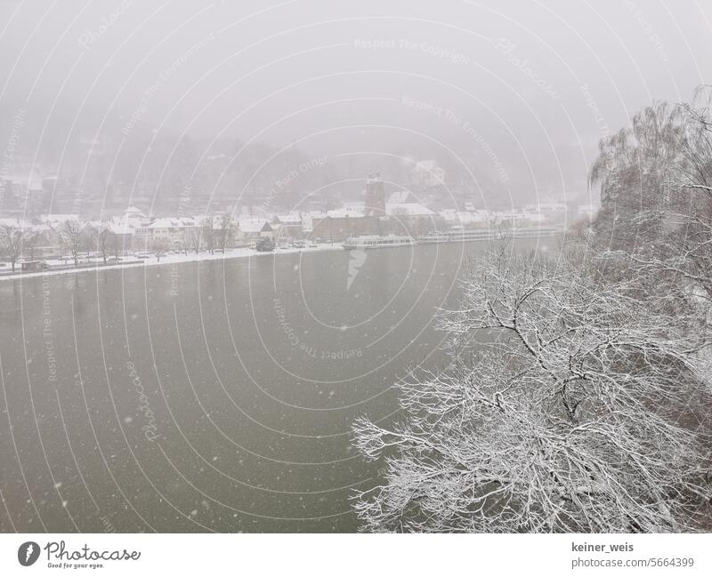 The town of Miltenberg in a thick snowstorm on the Bavarian Lower Main in Germany Town Snow Tree Lower Franconia spessart Water Parish church County seat