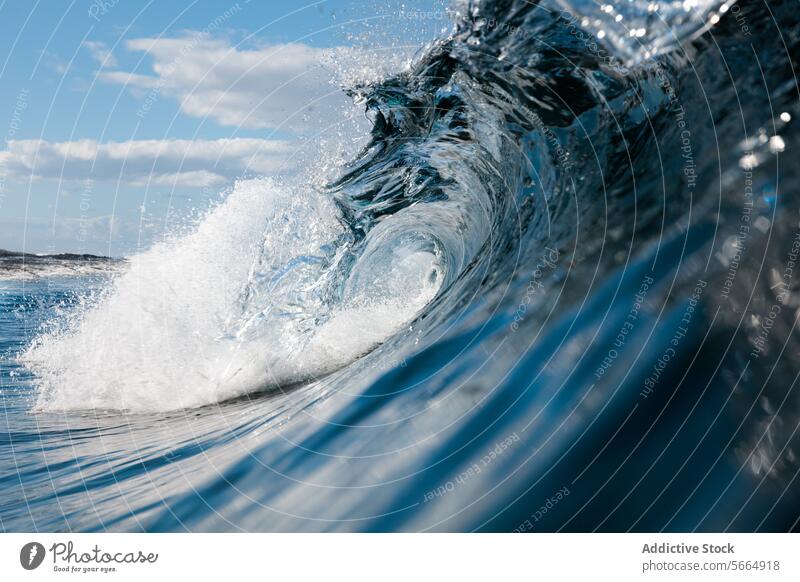 Crisp details of a breaking wave under sunlight ocean water nature close-up curling cresting clear bright sky sea surf liquid marine outdoor aquatic environment