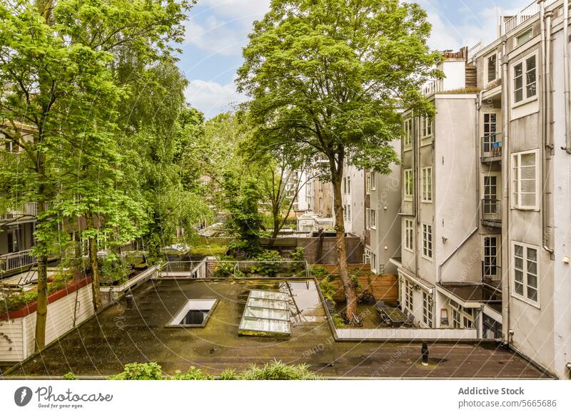 Courtyard with trees and buildings shed courtyard structure construction window patio backyard blue sky water wet roof day style trendy modern home architecture