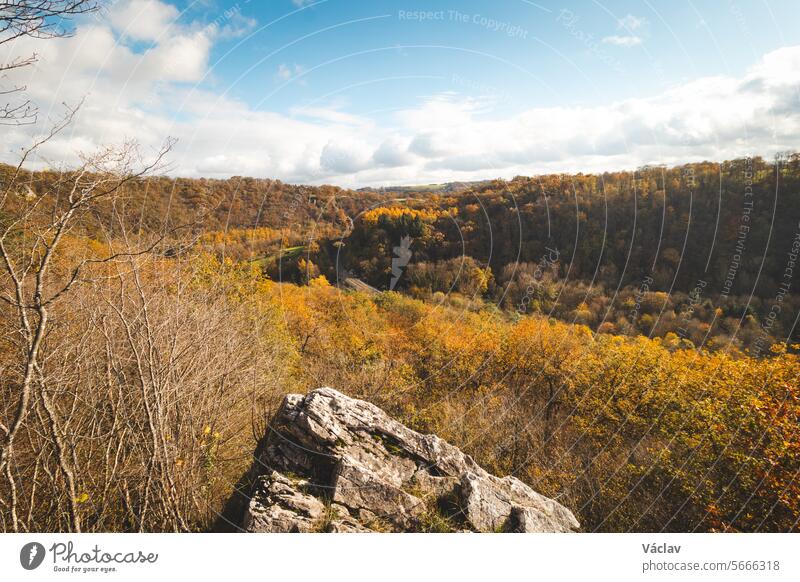 Rocky environment near the town of Dinant in Wallonia region, Belgium with a watercourse that forms natural meanders in autumn colour. The sunset illuminates a colourful forest