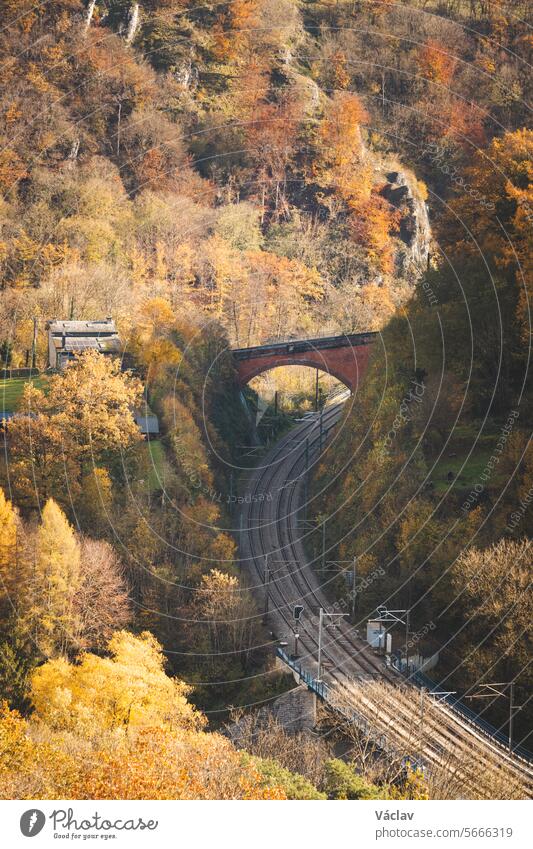 Colourful autumn forest through which the railway route passes. Colourful October and November in the Belgian countryside. The diversity of a breathtaking nature