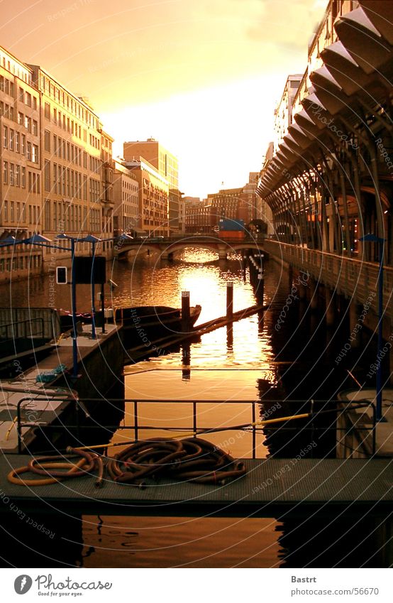 seaport Watercraft Cold Summer Physics Underground City hall Alster Floodgate Hose Building House (Residential Structure) Water fountain Hamburg North Germany