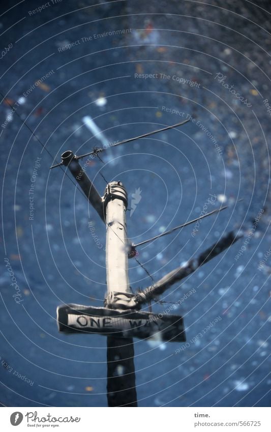 The conductor (one way style) Art Water Autumn Beautiful weather Puddle Transport Traffic infrastructure Street Lanes & trails Road sign One-way street Sign