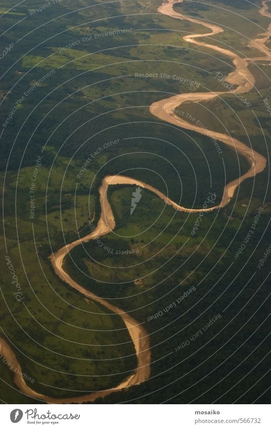 South American landscape Nature Landscape Plant Water Earth Climate Weather Wild plant Exotic Forest River Amazonas Flying Far-off places Brown Green