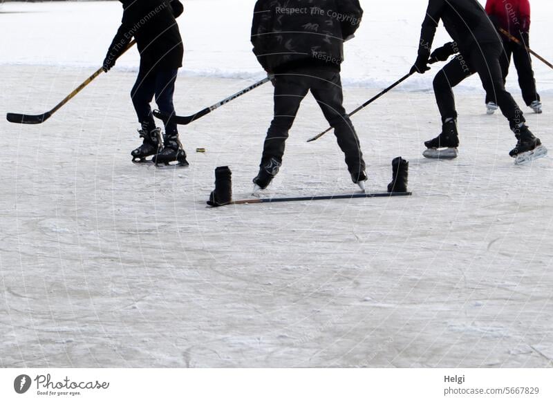 winter joys Winter chill Ice Frost Lake frozen Ice hockey Playing Joy people Ice-skates Cold Frozen surface Winter sports Nature Leisure and hobbies Ice-skating