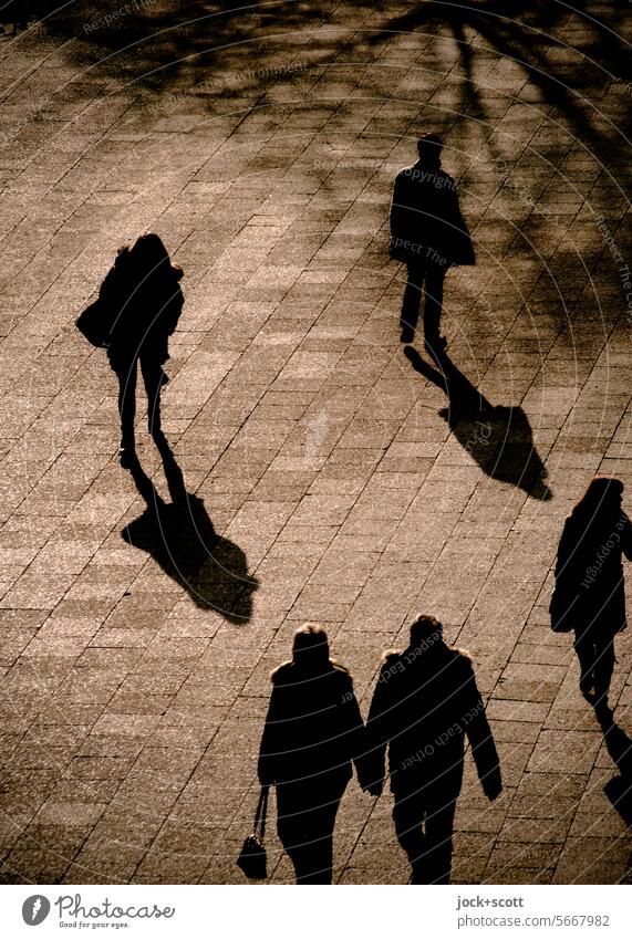 enjoy the walk in the sunshine Sidewalk Shadow Lanes & trails Traffic infrastructure Contrast Paving tiles Sunlight Shadow play Silhouette Pedestrian