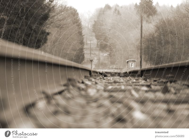 railway line Aßlar Ehringshausen Wetzlar Railroad tracks Engines Tram Depth of field Forest String stranded track Stone Sepia Hue Macro (Extreme close-up)