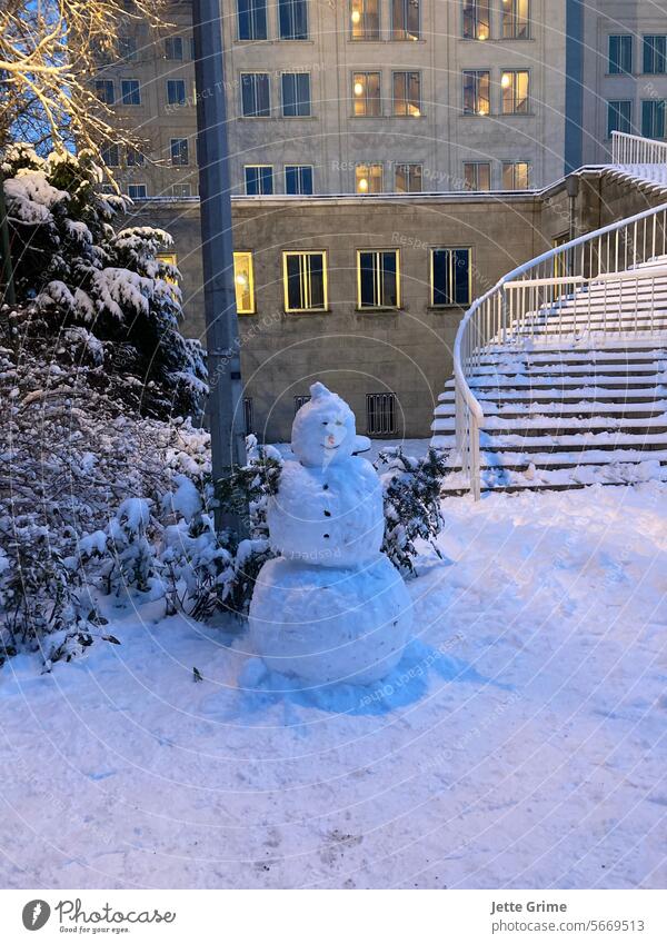 Build a snowman in Leipzig! Snowman Frost Winter Nature Ice Colour photo White Nose Exterior shot Stairs Building Light Fir tree