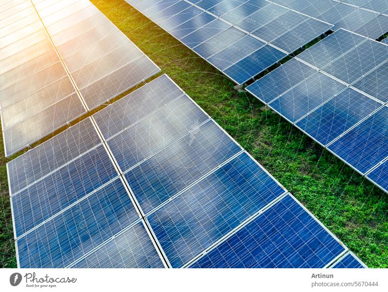 Solar farm and sun light. Solar power for green energy. Sustainable renewable energy. Photovoltaic power station or solar park. Solar panel installation and maintenance concept. Energy sustainability.