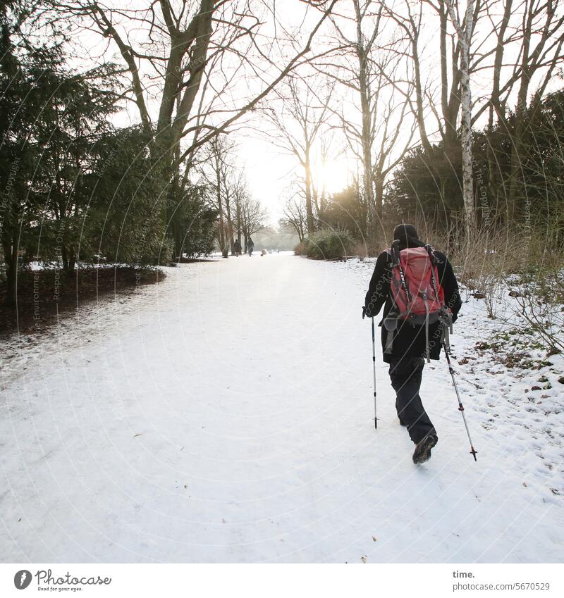 last snow in the park with hiker Snow Hiking Walking sticks city park trees Back-light Backpack Man Going Lanes & trails Park Landscape Winter Cold Tree out