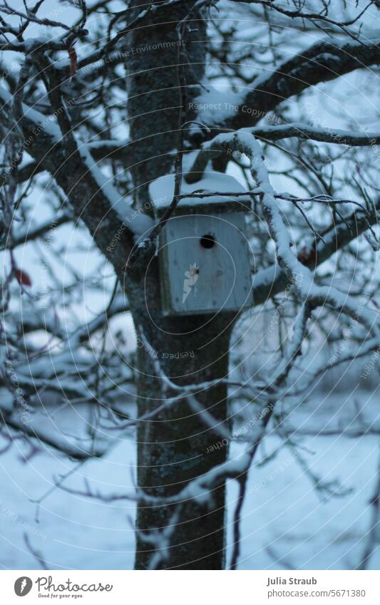 Bird house with icicles blue hour aviary bird house Icicle Winter Snow Ice trees out Wood