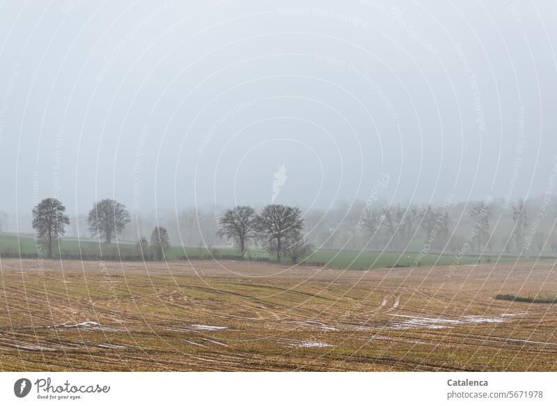 Unchanged weather conditions daylight Day Cold Winter Meadow Grass Horizon trees meadows fields Rain Fog Drizzle Puddles Sky cloudy Grief Landscape Nature Gray