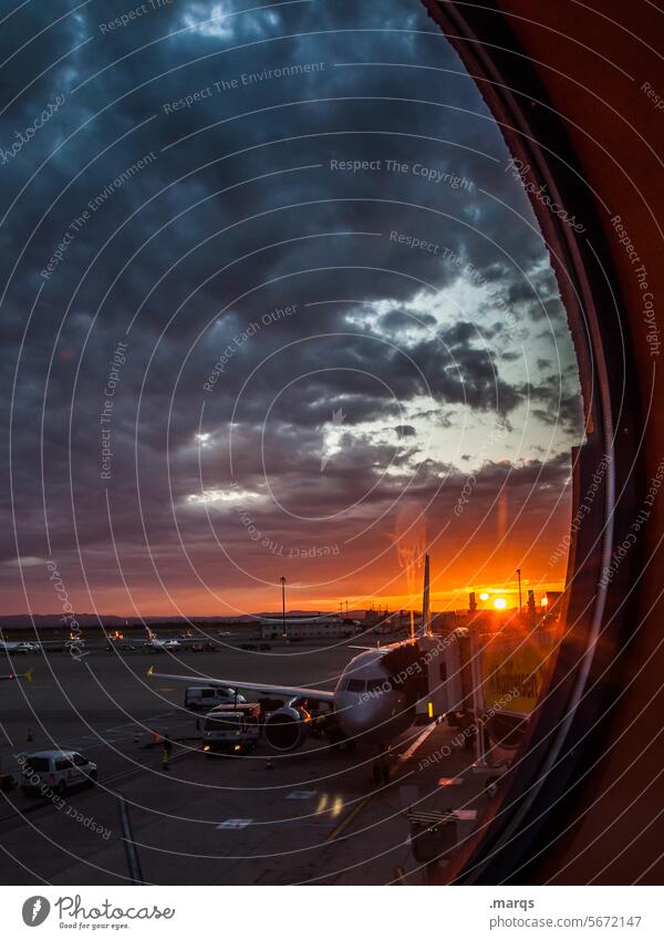 night flight Flying Airport Transport Passenger plane Airplane Air travel Wanderlust Vacation & Travel In the plane Window voyage Horizon View from the airplane