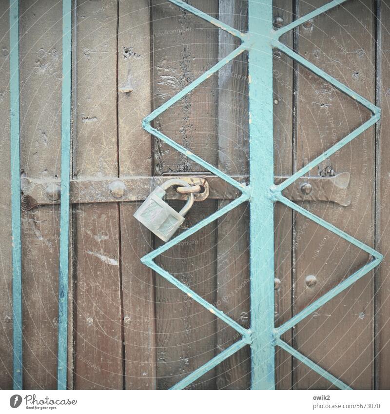 Confuse burglars door Padlock Grating Closed Multicoloured Exterior shot Close-up Deserted Detail Protective Grating Main gate Safety Locking bar Metal