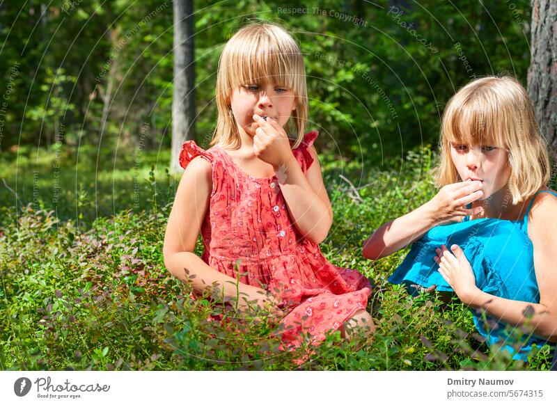 Children picking berries in a summer forest berry bilberry blueberry bog bilberry caucasian cheerful child childhood children crop day delicious dress eat