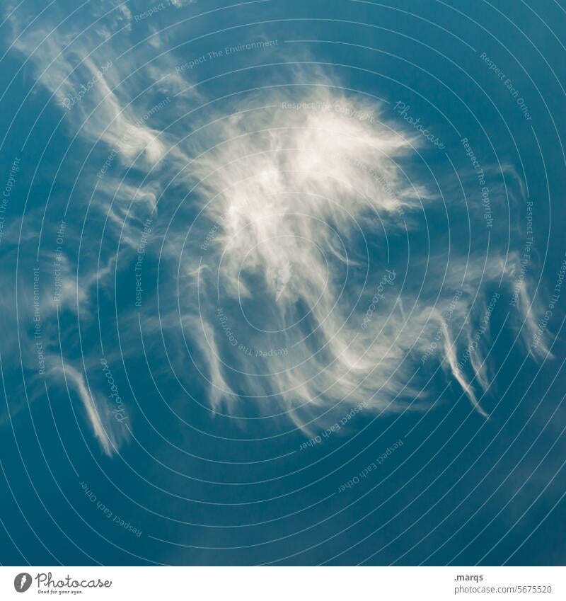 alien Air Cirrus cloud bizarre clouds Cloud formation cirrus clouds Climate Climate change Environment Elements Weather Moody Nature Clouds Clouds in the sky