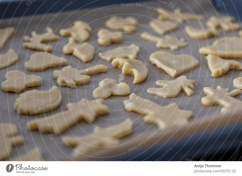 Eyelet squares on a baking tray before baking Cookie bake cookies cookie dough Christmas baking Christmas & Advent Christmas biscuit Baking cut out cookies