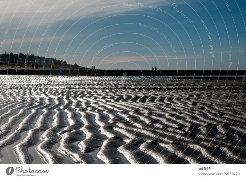 Traces of sand from the outflowing water at low tide in the Wadden Sea with silhouettes of people on the horizon mudflat hiking tour Low tide High tide