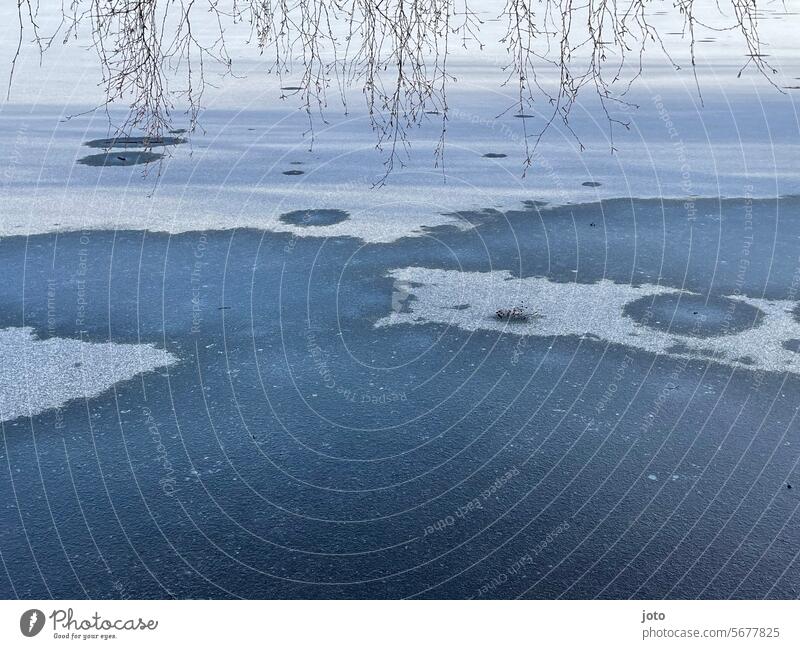 Frozen lake with willow branches Snow Winter Cold cold season cold temperature icy cold courageous Joie de vivre (Vitality) zest for life Freedom chill winter