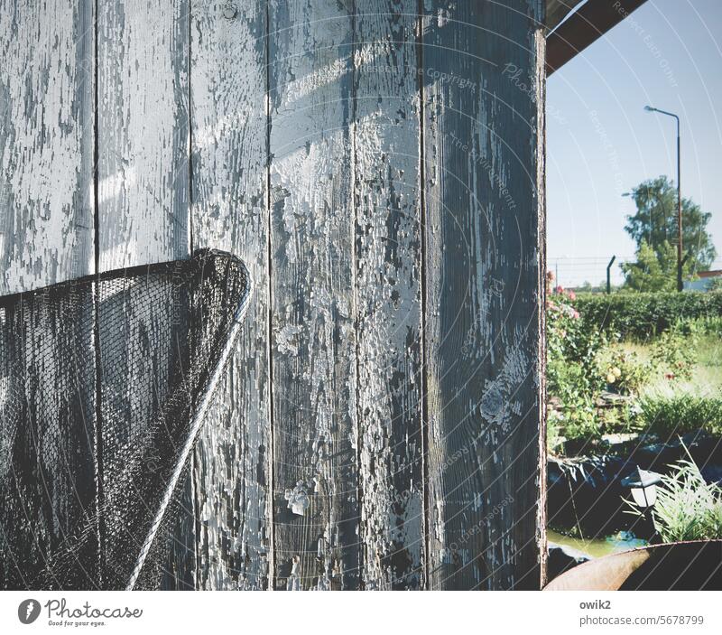 Damaged wood Garden Arbour Hut Garden plot Gardenhouse Exterior shot Deserted Nature Idyll Colour photo Garden allotments Wall (building) board wall run-down