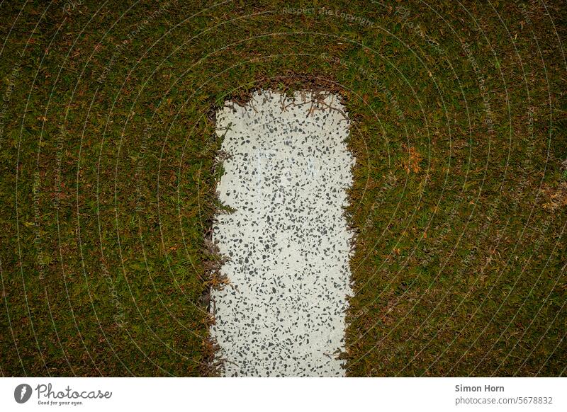 Stone post in a dense hedge Hedge Structures and shapes Pole mark girded Enclosed Surface Surface structure texture Wall (building) synced Pattern Abstract