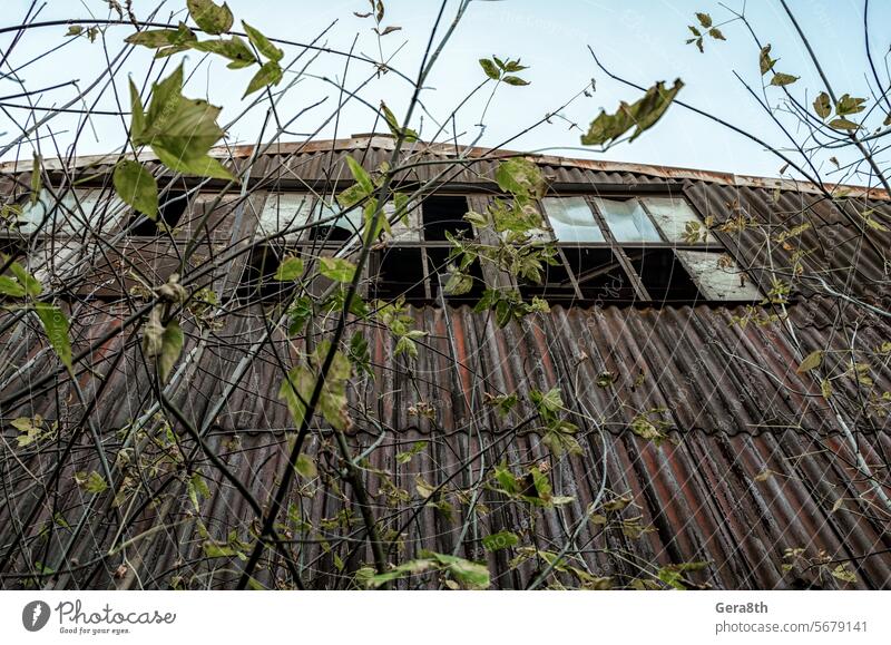 spooky abandoned house among the trees in Chernobyl Pripyat Ukraine accident alienation architecture autumn blue building city clouds cover danger dangerous day