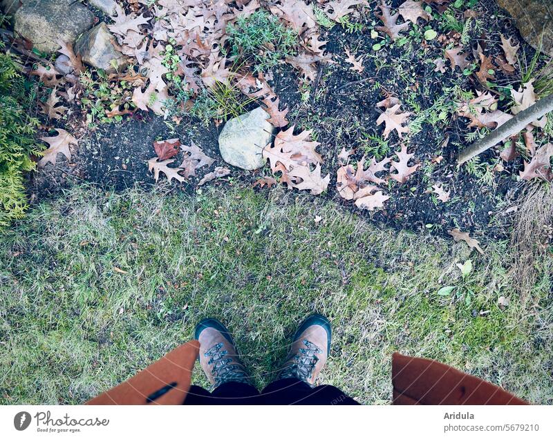 Let's see what happens | Waiting for the early bloomers in the bed Garden Bed (Horticulture) Footwear leaves Plant Green Flowerbed stones Lawn Spring