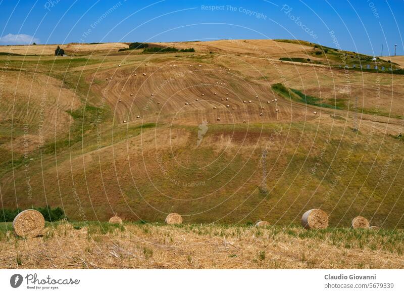 Country landscape near Tricarico and San Chirico, Basilicata, Italy Europe Potenza agriculture bale color country day field hill mountain nature photography