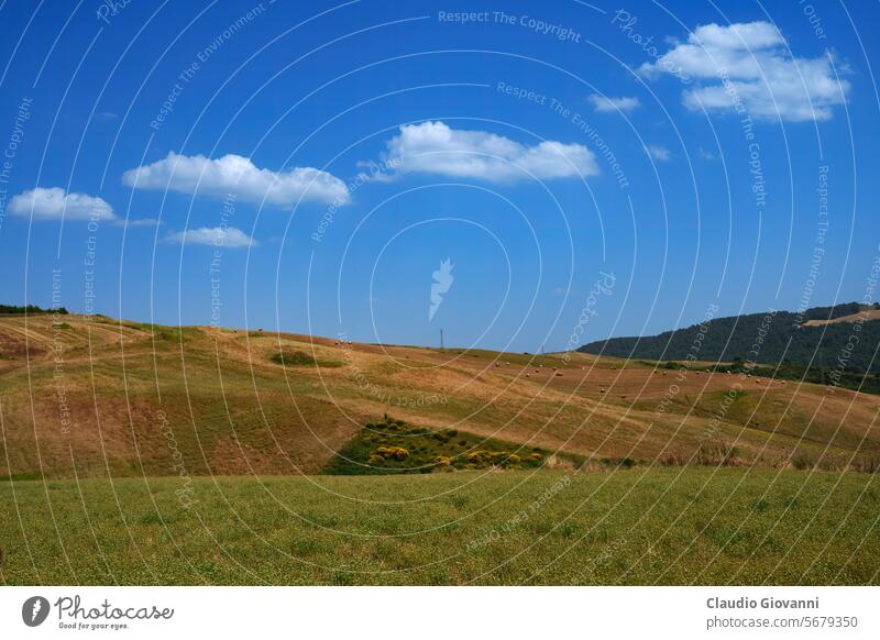 Country landscape near Tricarico and San Chirico, Basilicata, Italy Europe Potenza agriculture bale color country day field hill mountain nature photography