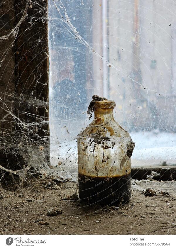 I should probably clean again! A dirty bottle stands by a dirty window and is covered in cobwebs. lost places forsake sb./sth. Old Transience Change